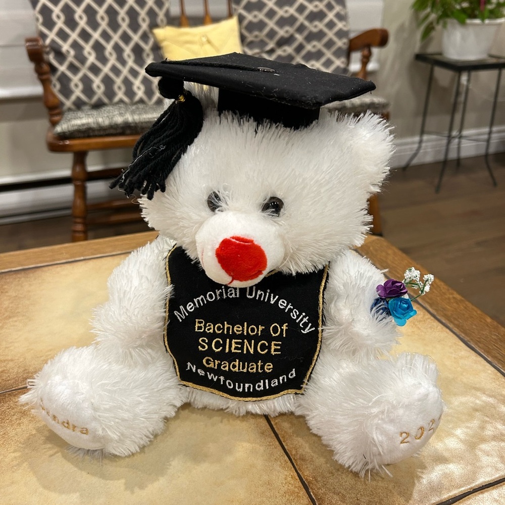 Graduation bears - Picture 3 of 3